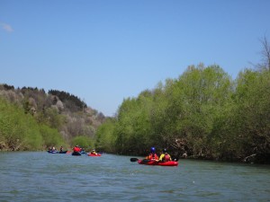 DSC00609